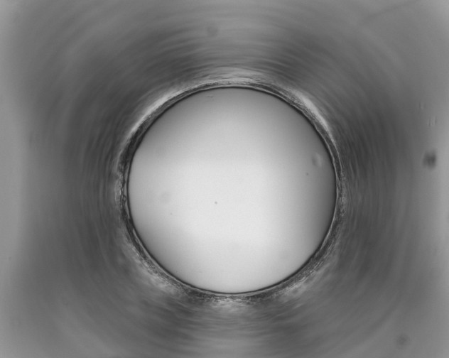 X0000090710835200707200949