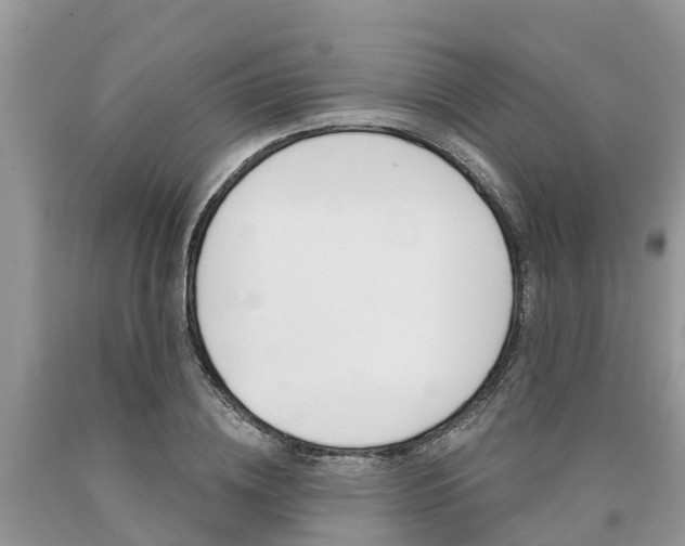 X0000090710836200707200949