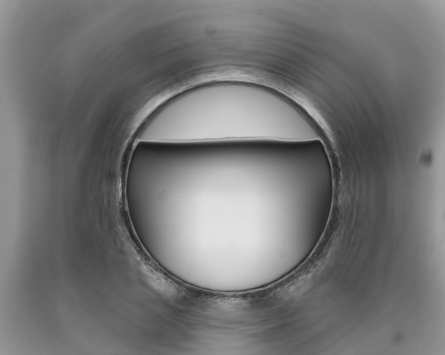 X0000090710837200707200949