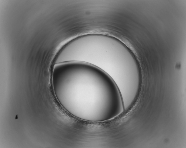 X0000090710838200707200949