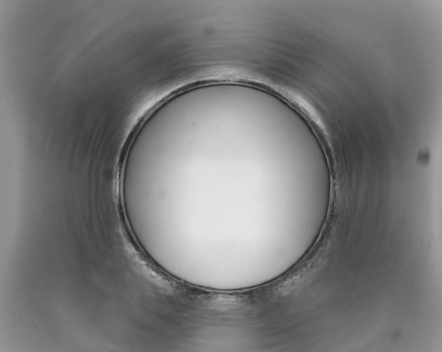 X0000090710839200707200950