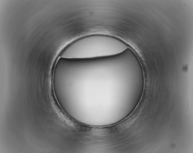 X0000090710840200707200950