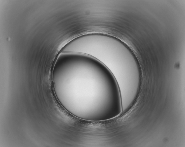 X0000090710842200707200950