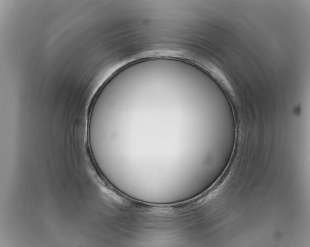 X0000090710844200707200950
