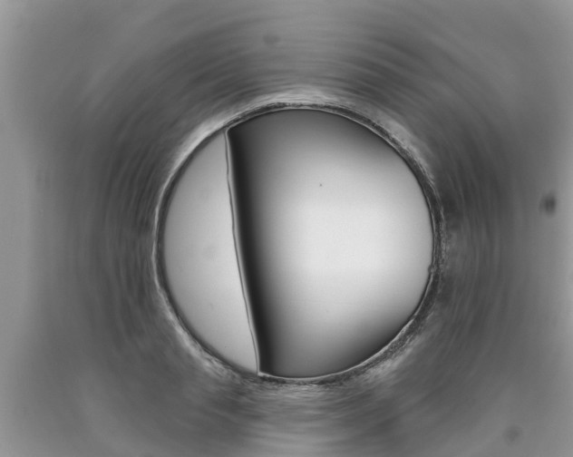 X0000090710845200707200950