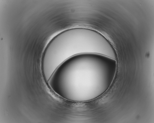 X0000090710846200707200950