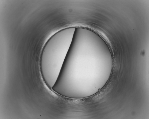 X0000090710847200707200950
