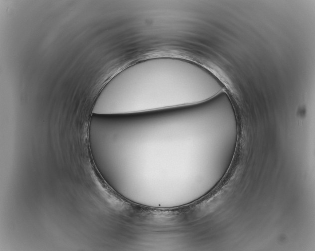 X0000090710849200707200950