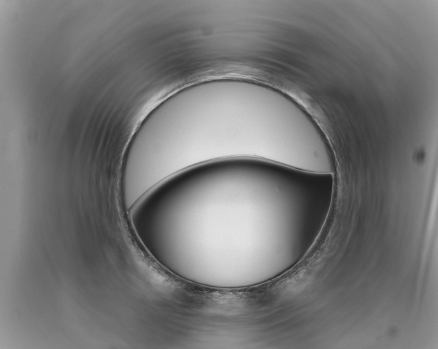 X0000090710850200707200950