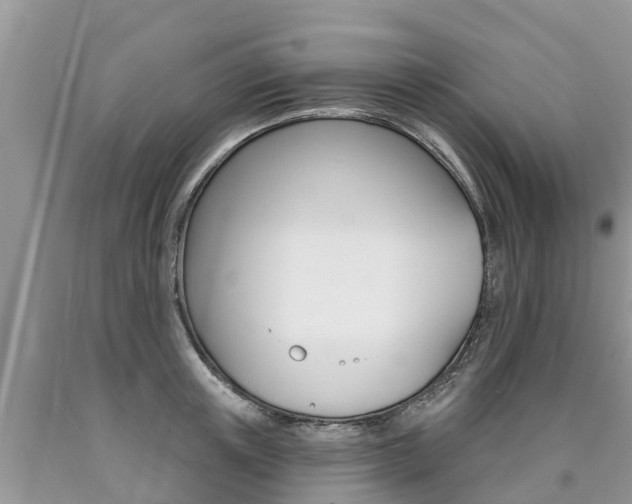 X0000090710851200707200950