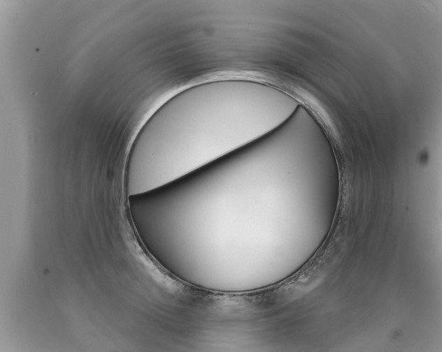 X0000090710852200707200950