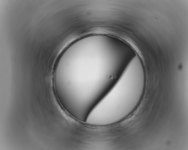 X0000090710853200707200950