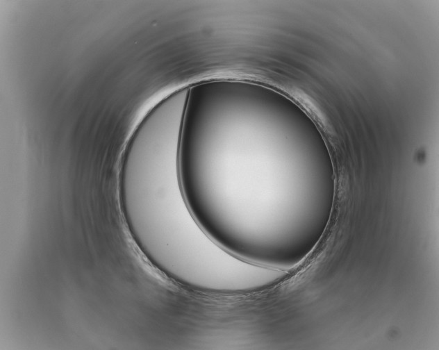 X0000090710854200707200950