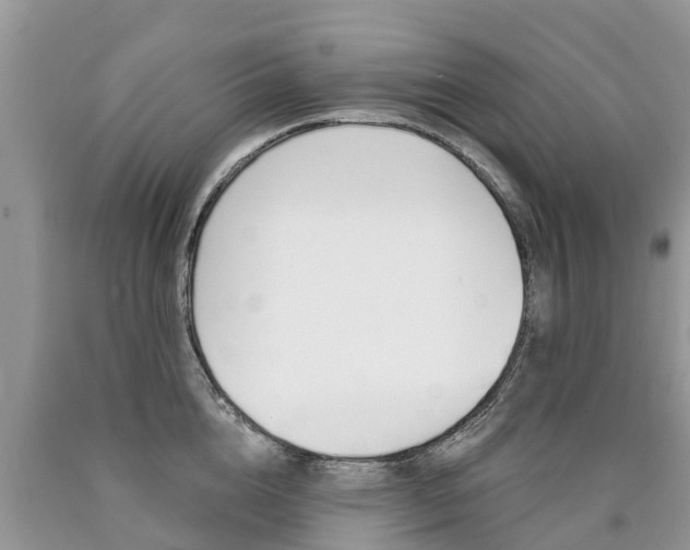 X0000090710856200707200950