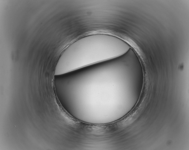 X0000090710857200707200950