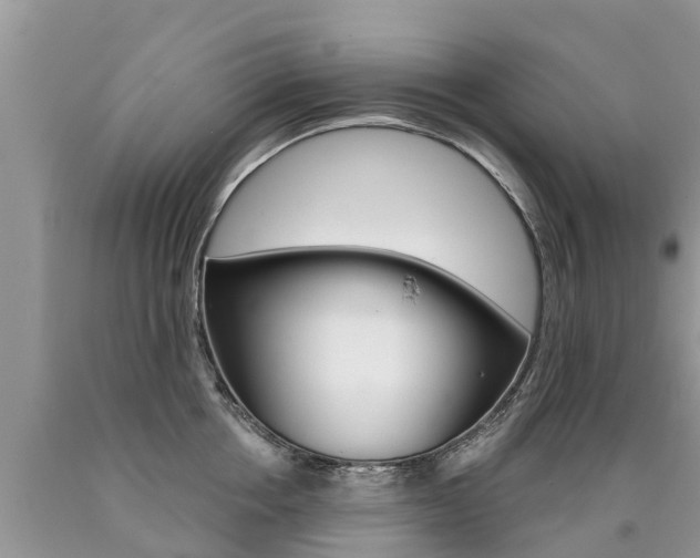X0000090710858200707200950