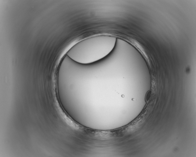 X0000090710859200707200950