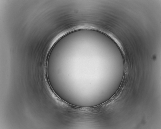 X0000090710861200707200950