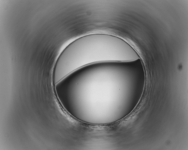 X0000090710862200707200950