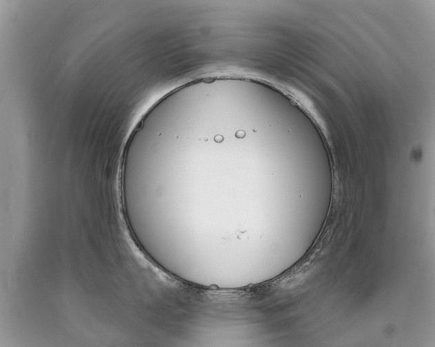 X0000090710863200707200950