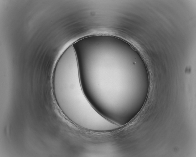 X0000090710864200707200950