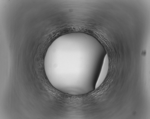 X0000090710865200707200949