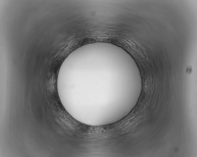 X0000090710866200707200949