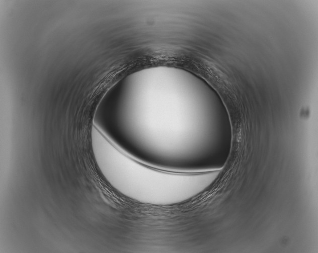 X0000090710868200707200949