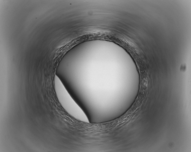 X0000090710869200707200949