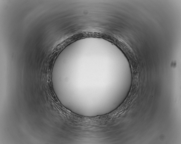 X0000090710870200707200949