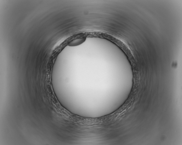 X0000090710871200707200949