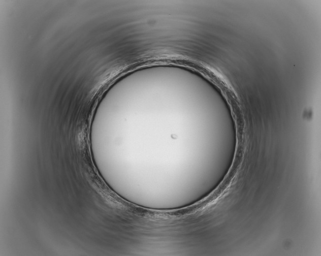 X0000090710873200707200949