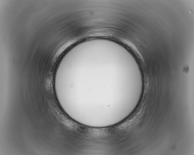 X0000090710874200707200949