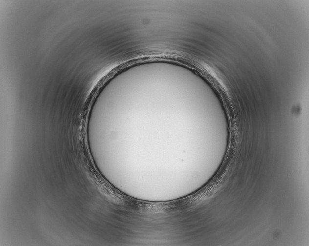 X0000090710875200707200949