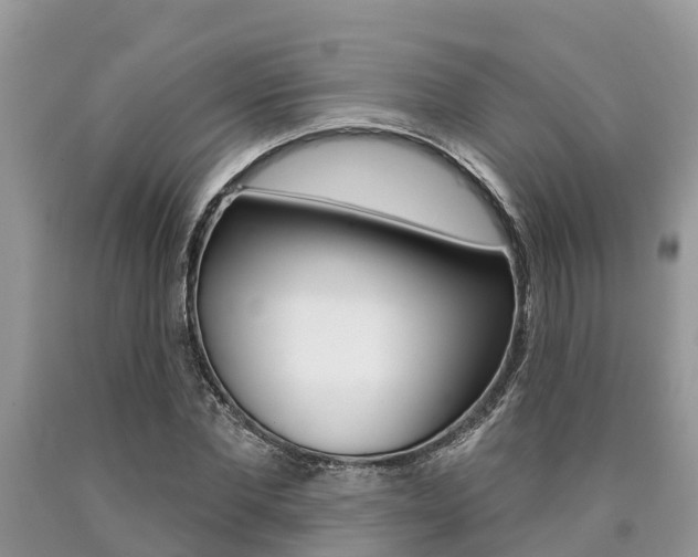 X0000090710877200707200949