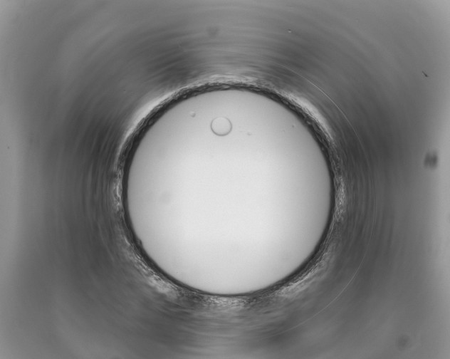 X0000090710878200707200949