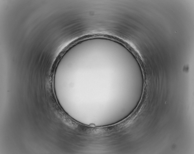 X0000090710879200707200949