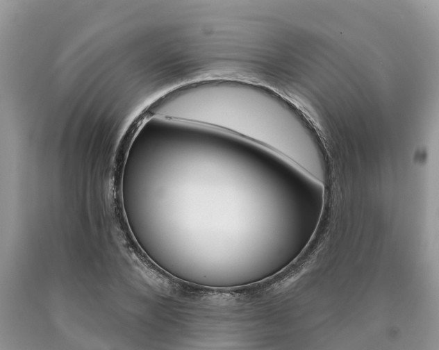 X0000090710880200707200949