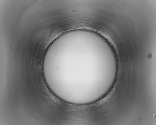 X0000090710881200707200949
