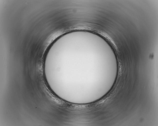 X0000090710882200707200949