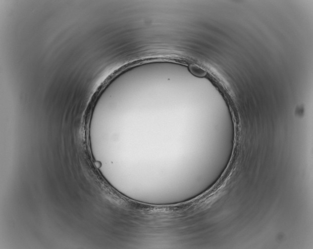 X0000090710883200707200949