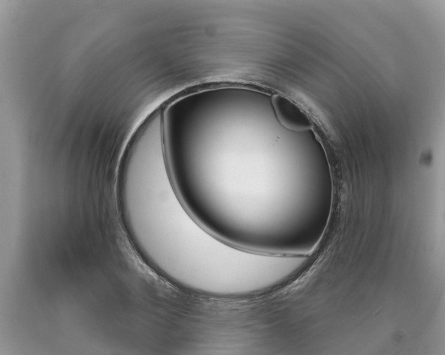 X0000090710884200707200949