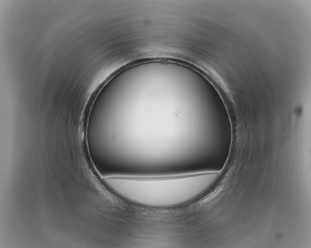 X0000090710885200707200949
