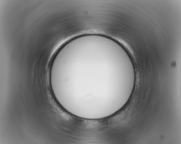 X0000090710886200707200949
