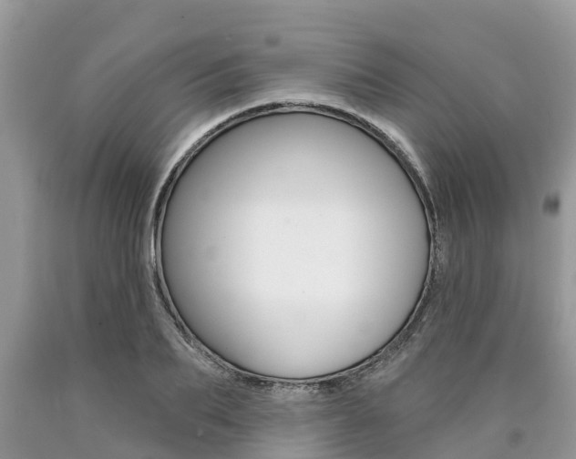 X0000090710887200707200949