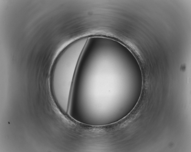 X0000090710888200707200949