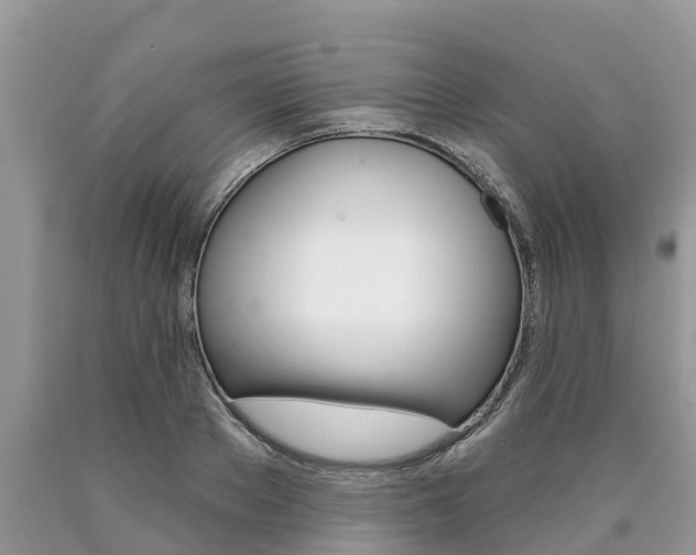 X0000090710889200707200949