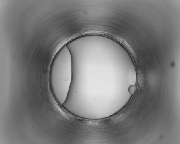 X0000090710890200707200949