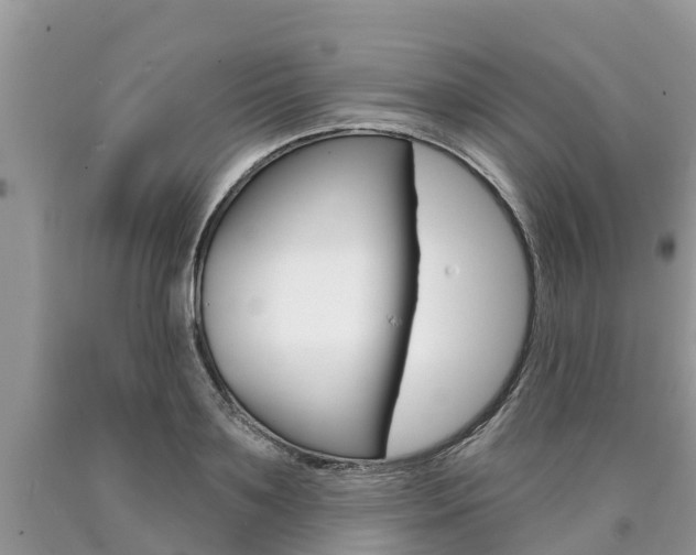 X0000090710891200707200949