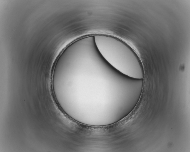 X0000090710895200707200949